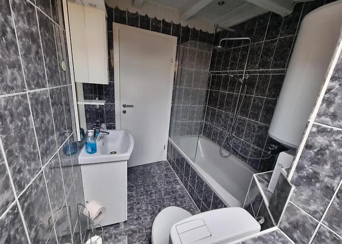 Gostinjska kuća Lion 3*